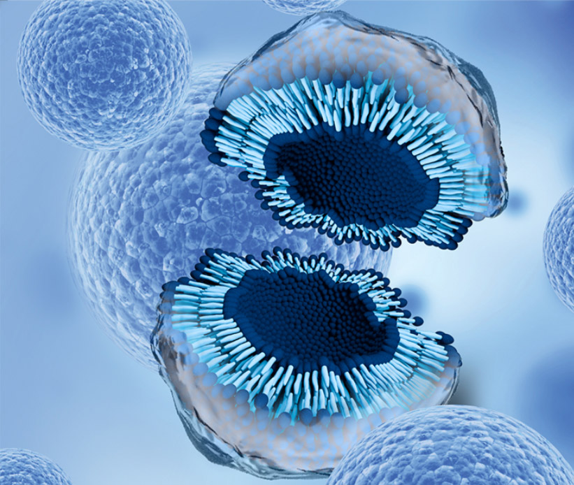 Exosome